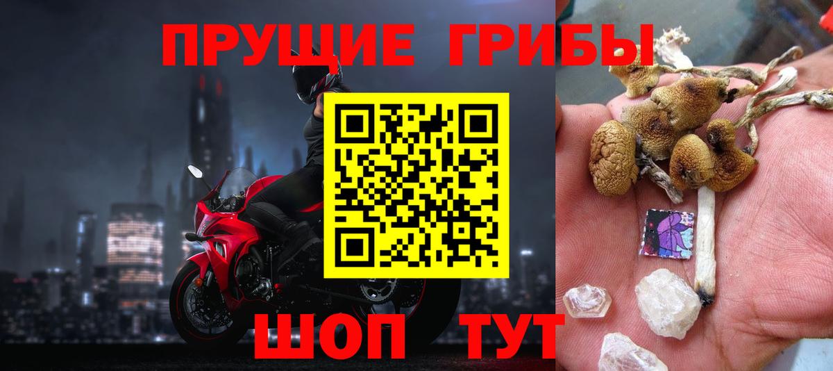 Псилоцибиновые грибы прущие грибы  купить наркотики сайты  Лыткарино  Вход с VPN  Псилоцибиновые грибы Magic Shrooms 